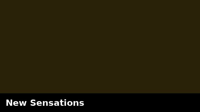 New Sensations preview
