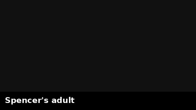 Spencer's adult preview